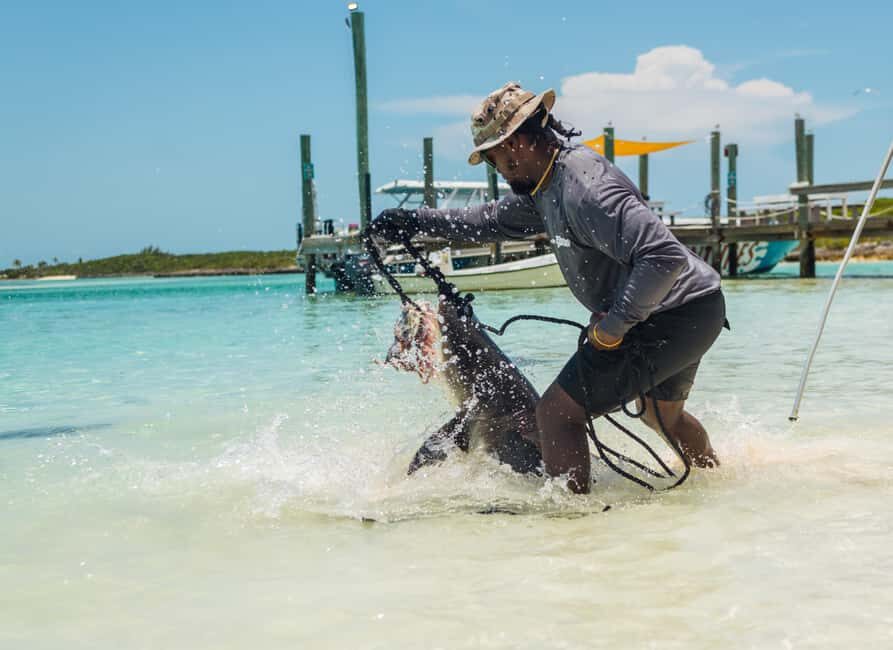 Nassau: Exuma Powerboat Day Trip - Key things to know before you go