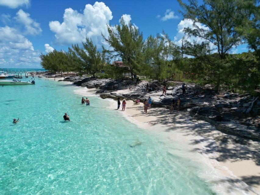Nassau: Half-Day Guided Cay Cruise, Sea Life Watch & Snorkel - Blue Lagoon Island: dolphin and sea lion exhibits, with strict boundaries
