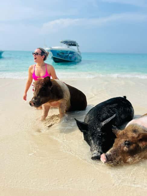 Nassau: Half-Day Swimming Pigs, Reef Snorkel & Beach Club - How the Half-Day Tour Actually Flows (and Why It Feels Good)