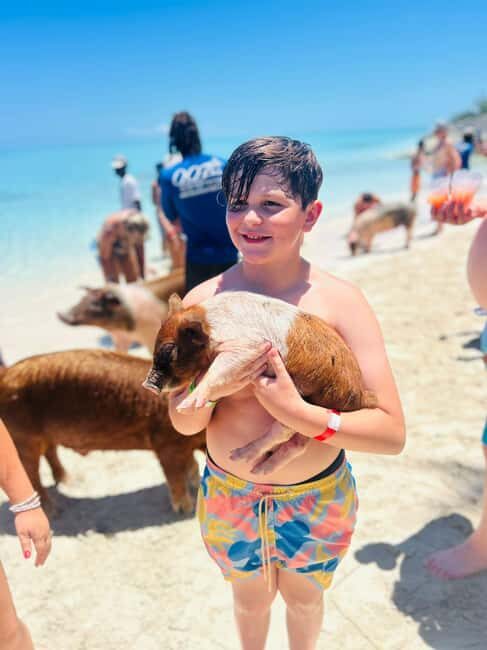Nassau: Half-Day Swimming Pigs, Reef Snorkel & Beach Club - The Private Beach Club Break: Loungers, Hammocks, Open Ocean Views