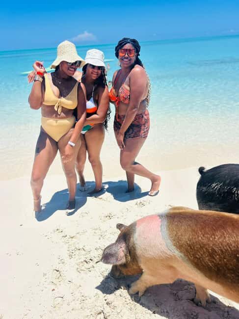 Nassau: Half-Day Swimming Pigs, Reef Snorkel & Beach Club - What to Bring (So the Day Feels Easy)