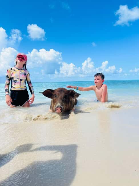 Nassau: Half-Day Swimming Pigs, Reef Snorkel & Beach Club - Athol Island Reef Snorkel: Your Hour on Clear Water