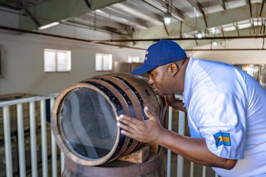 Nassau: Historical Sightseeing Guided Half-Day Tour - Port pickup and the air-conditioned van that makes the day easier