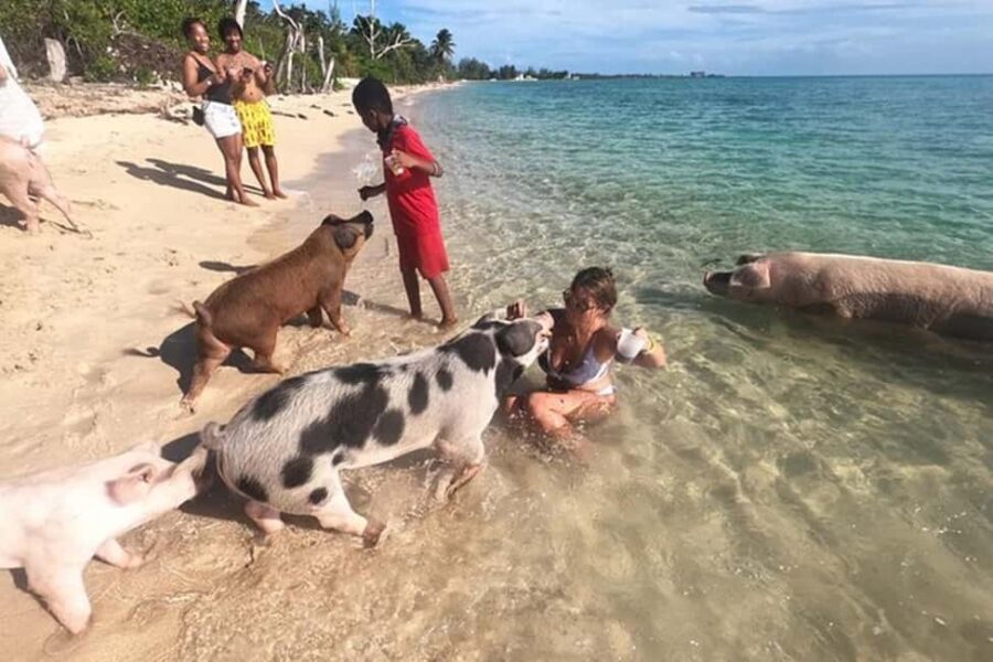Nassau: Island Hopping Boat Trip with Lunch & Drinks - Green Cay Sea Turtles: What You’re Hoping to See
