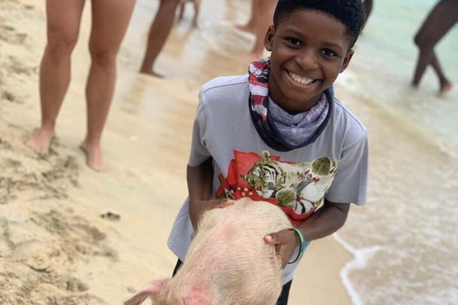 Nassau: Island Hopping Boat Trip with Lunch & Drinks - Pig Beach: The Swimming Pigs Moment People Actually Remember