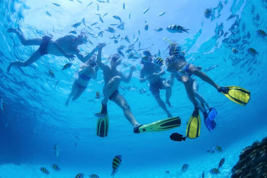 Nassau: Jet Ski Ride, Parasailing & Banana Boat Tour - Cabbage Beach Base: Where the Gear Comes On