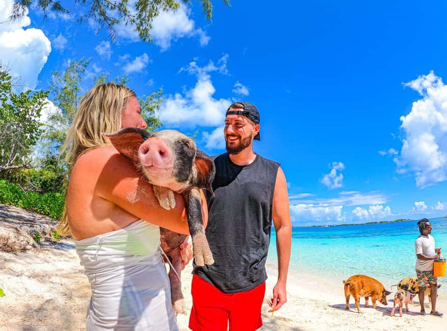 Nassau: Pigs Beach Trip by Boat with Swimming and Feeding - Who this tour suits best (and who should skip it)