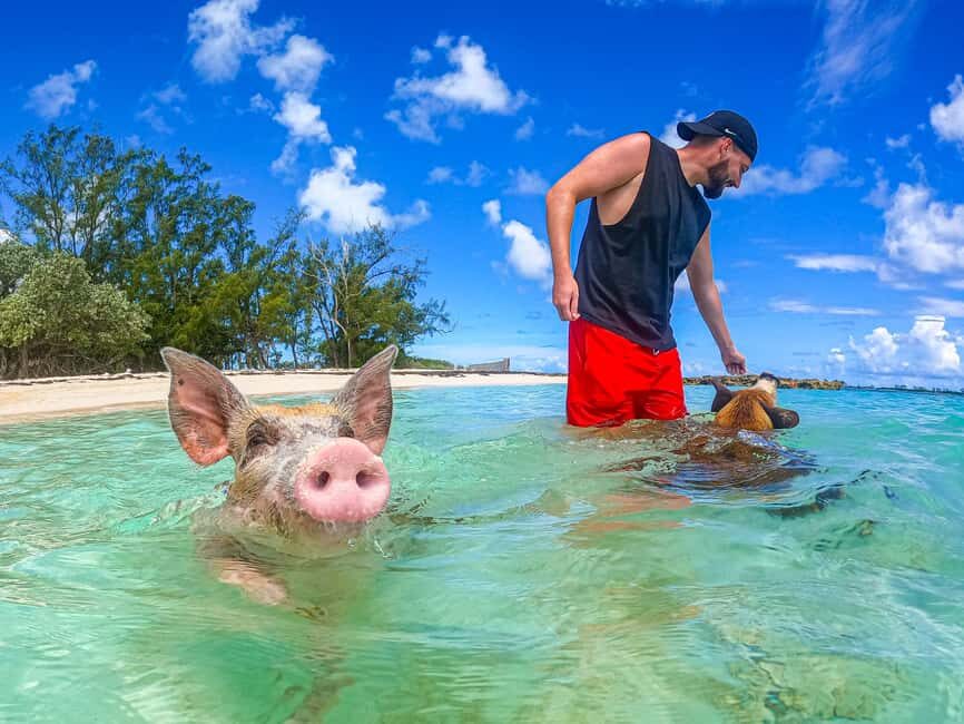 Nassau: Pigs Beach Trip by Boat with Swimming and Feeding - From Nassau Cruise Port to the marina: finding the right dock