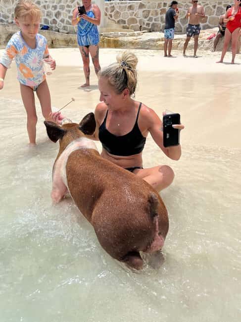 Nassau: Pigs, Snorkel, Turtles, Lunch, Private Beach Club - How This 4-Hour Nassau Day Fits a Cruise Schedule