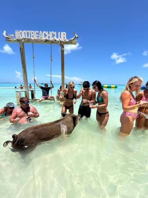 Nassau: Pigs, Snorkel, Turtles, Lunch, Private Beach Club - The Powerboat Ride: Fast, Scenic, and Built for Photos