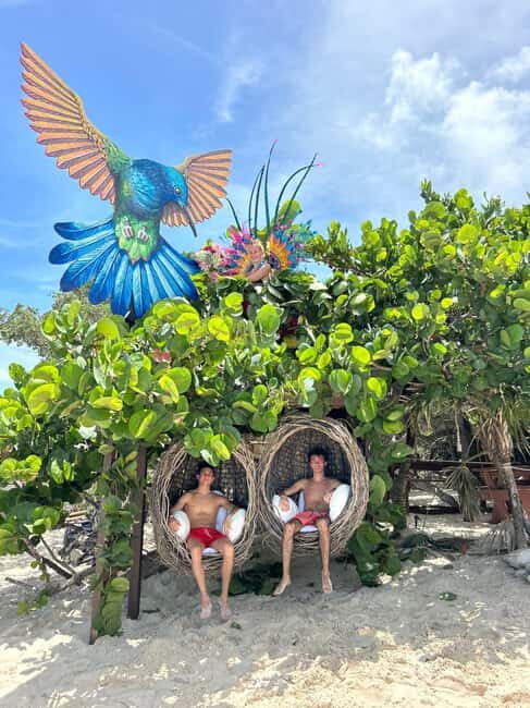 Nassau: Pigs, Snorkel, Turtles, Lunch, Private Beach Club - Oasis Ocean 7 Private Beach Club: Da Nest, Hammocks, and the Pigs