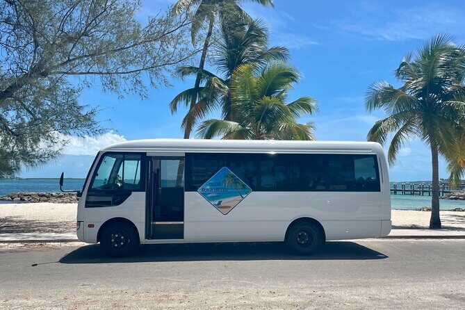 Nassau Private Airport & Cruise Port Transfer - Key things that make this Nassau transfer work