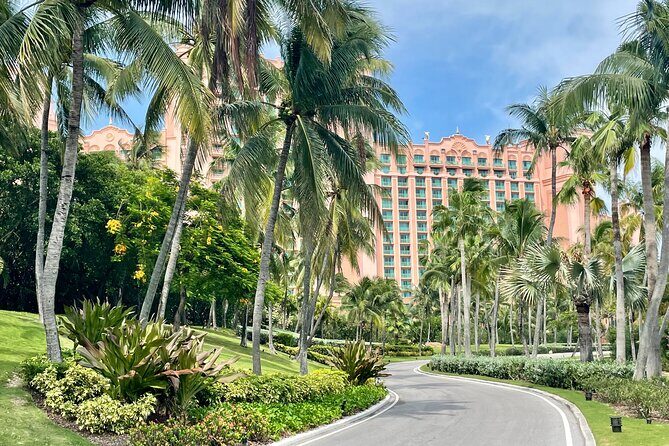 Nassau Private Airport & Cruise Port Transfer - Door-to-door transportation that beats Nassau chaos