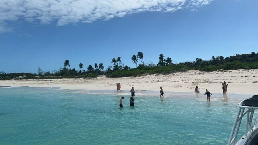 Nassau: Private Island & Snorkeling, Turtles, Drinks, & BBQ - Pearl Island reef snorkeling: gear is included, time is short