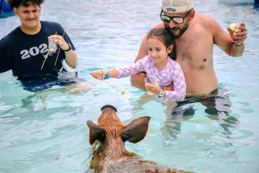 Nassau: Rose Island Swimming Pigs and Beach Day Group Tour - Speedboat to Rose Island: the ride part you shouldn’t ignore