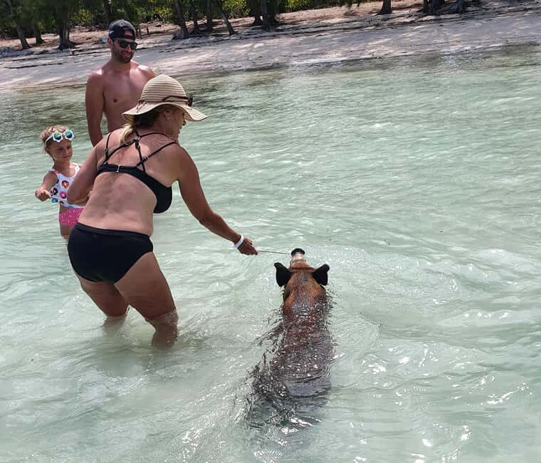 Nassau: Rose Island Swimming Pigs & Turtles Snorkeling Tour - Gilligan’s Island-style stop at Sandy Cay: the beach break you’ll remember