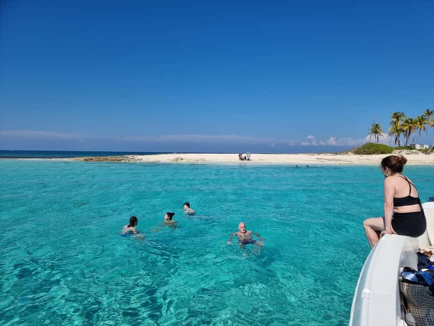 Nassau: Rose Island Swimming Pigs & Turtles Snorkeling Tour - The second guided marine-life window on Rose Island