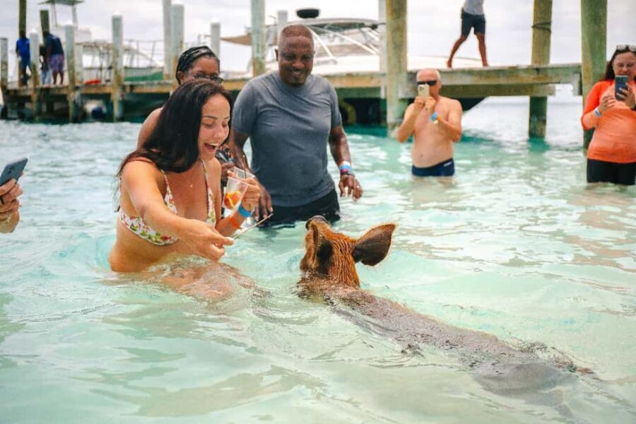 Nassau: Rose Island's Sand Dollar Beach Resort - Key things I’d underline before you go