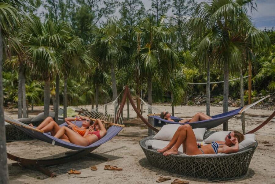 Nassau: Rose Island's Sand Dollar Beach Resort - Swimming pigs: how the interaction works in real life