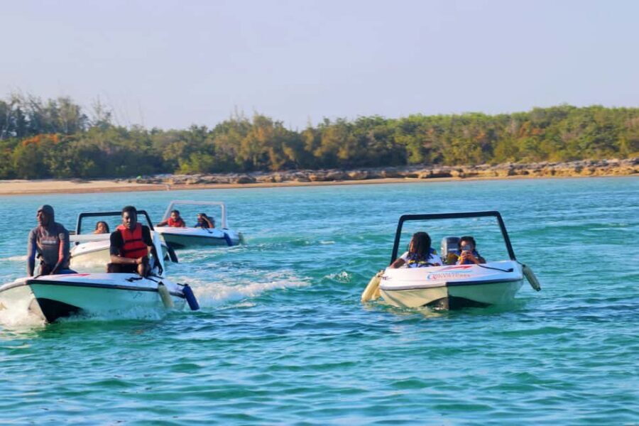 Nassau: Self-Drive Speedboat Ride and Pig Swimming Encounter - Price and value: is $120 per person worth it?