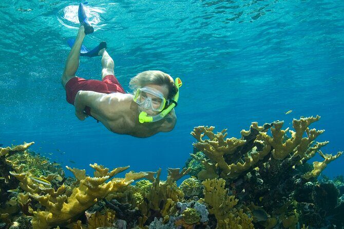 Nassau Shore Excursion: Bahamas Snorkel Adventure - Key Highlights Worth Booking For