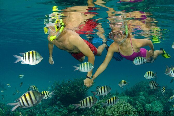 Nassau Shore Excursion: Bahamas Snorkel Adventure - The Itinerary Reality: Multiple Stops, Real Snorkel Time