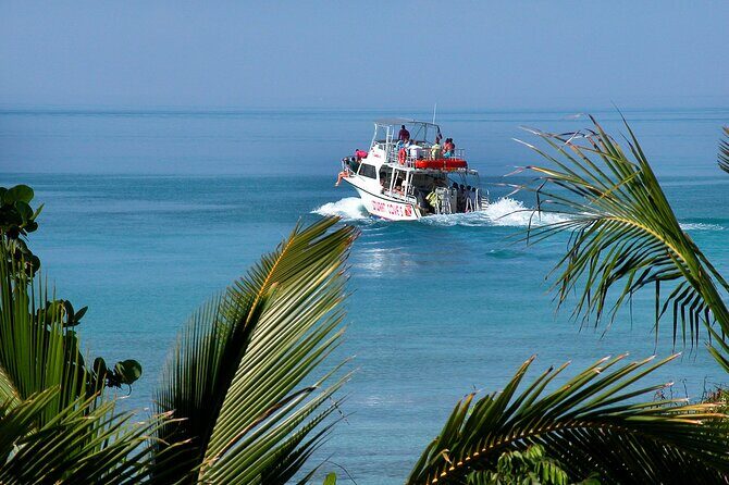 Nassau Shore Excursion: Bahamas Snorkel Adventure - Price and Value: Is $143.88 a Smart Cruise-Day Spend?