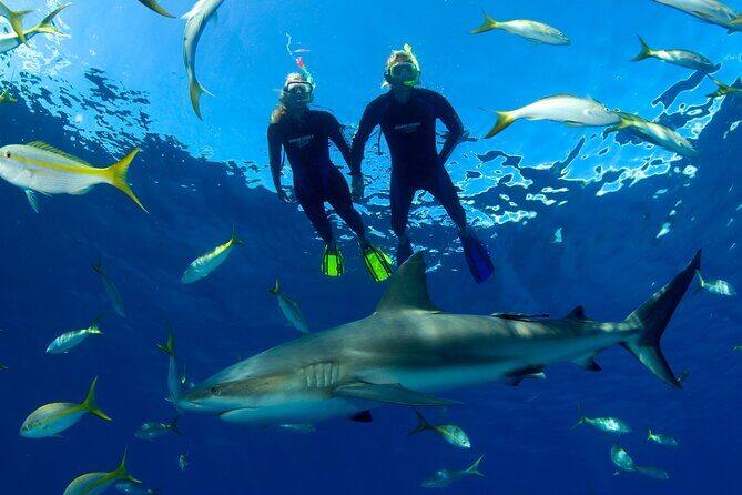 Nassau Shore Excursion: Bahamas Snorkel Adventure - Wetsuit, Water Temp, and Comfort Moves That Save the Day