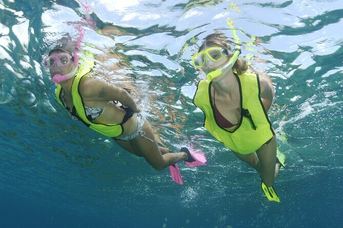 Nassau Shore Excursion: Bahamas Snorkel Adventure - Getting Fitted and Settled: Gear, Safety, and First Splash