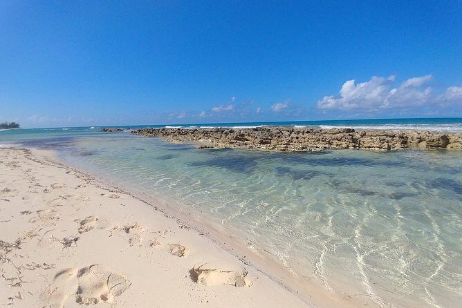 Nassau Shore Excursion: Sightseeing and Snorkeling Tour - Nassau in 5.5 Hours: how this history-and-beach mix actually plays