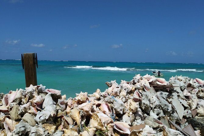 Nassau Shore Excursion: Sightseeing and Snorkeling Tour - Nirvanna Love Beach snorkeling on the Garden reef: what you’ll enjoy most