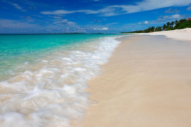 Nassau Shore Excursion: Sightseeing and Snorkeling Tour - Port pickup and small-group logistics that make the day easier