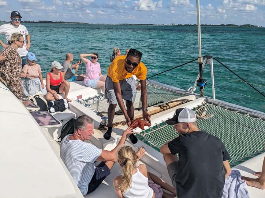Nassau: Snorkeling, Pig Beach, Swim with Turtles, and Lunch - Athol Island Snorkeling: A Reef Stop Built for Real Sight-Seeing