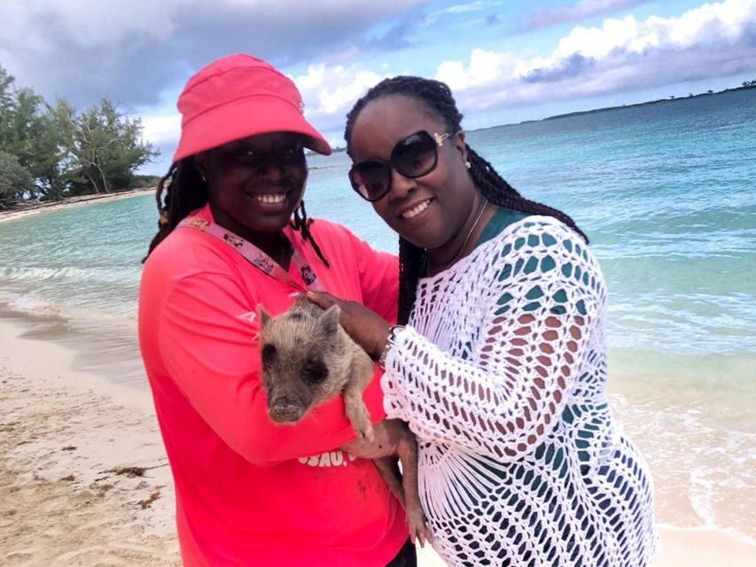 Nassau: Snorkeling, Pig Beach, Swim with Turtles, and Lunch - Pig Beach: The Classic Nassau Experience (And How the Extra Fee Works)