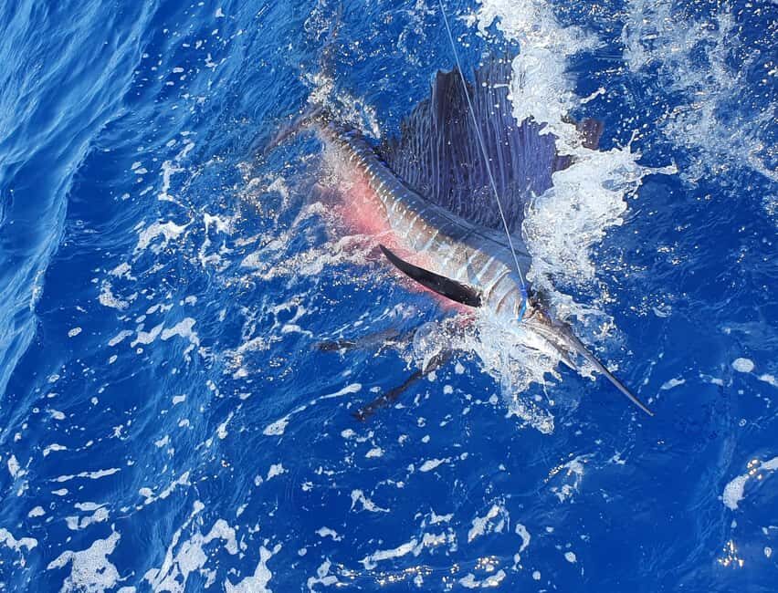 Nassau: Sport-fishing private charter . - Key Things to Know Before You Go