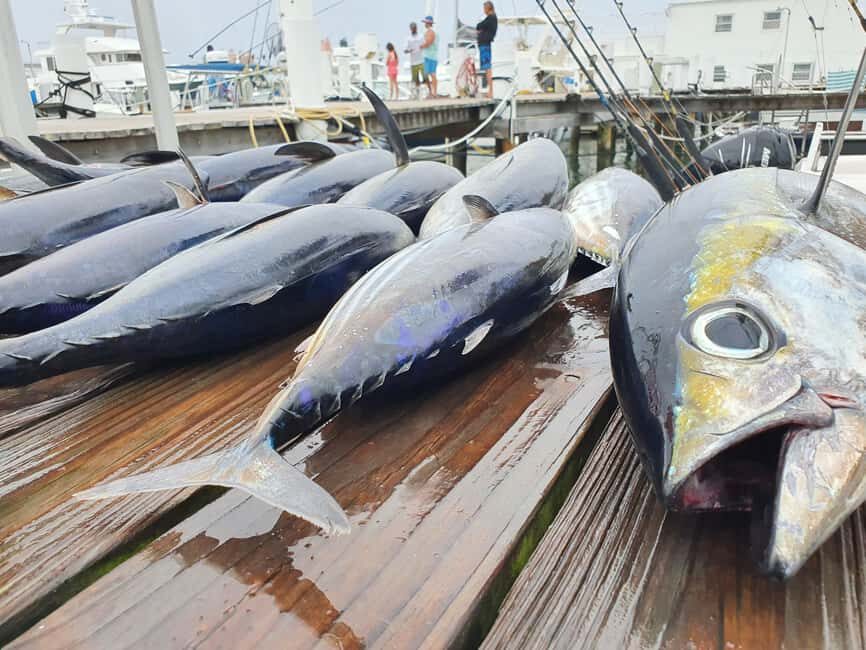 Nassau: Sport-fishing private charter . - Starting at Paradise Island Ferry Terminal: What “Private” Feels Like