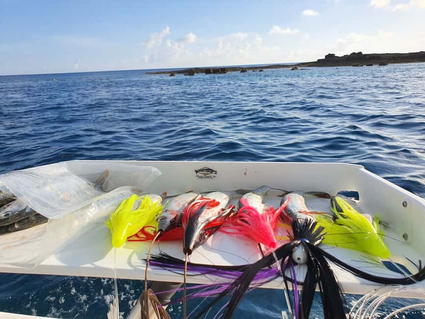 Nassau: Sport-fishing private charter . - What You Can Catch (And Why Season Matters)