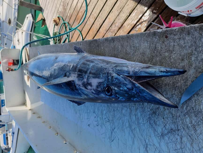 Nassau: Sport-fishing private charter . - Gear, Licenses, Water, and Tunes: What’s Included for Real Value