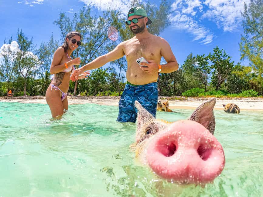 Nassau: Sun Cay and Swimming Pigs Boat Trip with Lunch - Who This Tour Suits (and Who Should Skip It)