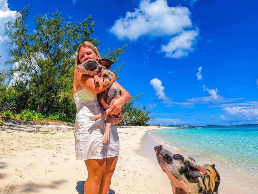 Nassau: Sun Cay and Swimming Pigs Boat Trip with Lunch - Lunch on Sun Cay: What’s Included and What to Watch