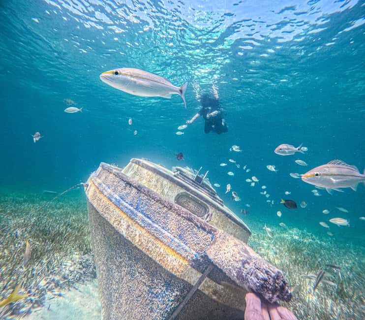 Nassau: Sun Cay Day Trip, Snorkel, Iguana Encounter, & Lunch - Nassau to SunCay: why the boat ride feels like part of the tour