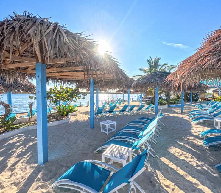 Nassau: Sun Cay Day Trip, Snorkel, Iguana Encounter, & Lunch - Timing and cruise-port reality: 5 hours can shrink fast