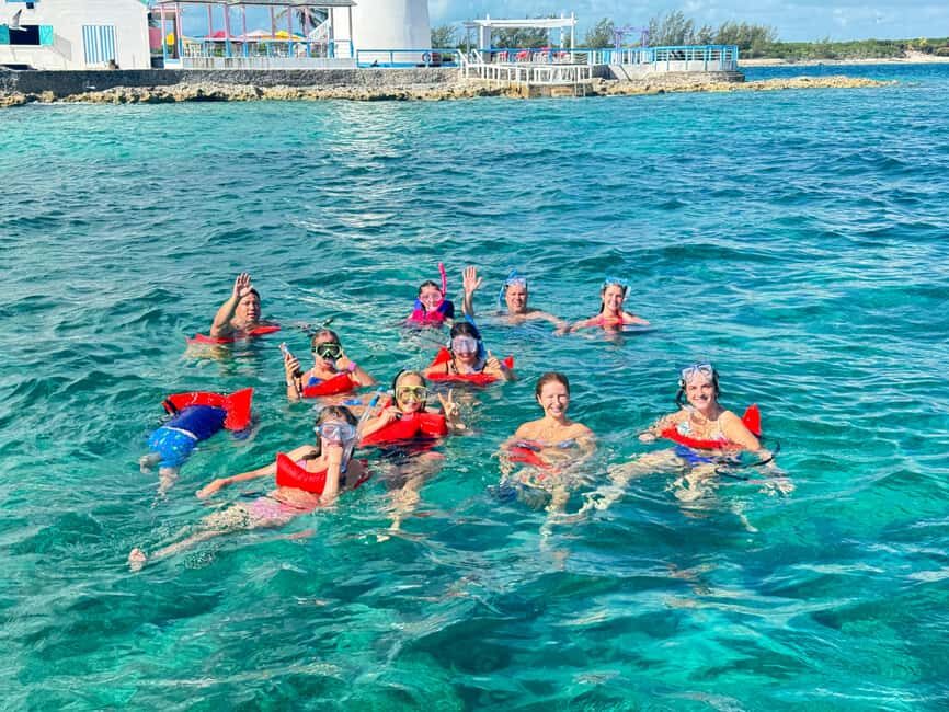 Nassau: Swimming Pigs and Turtles Boat Tour with Snorkeling - Green Cay sea turtles: chance encounters in their natural habitat