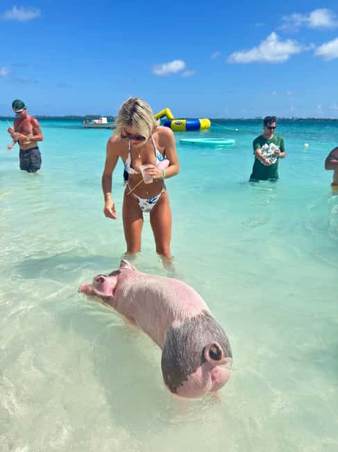 Nassau: Swimming Pigs and Turtles Boat Tour with Snorkeling - Environmental conservation: why it matters on animal-focused tours