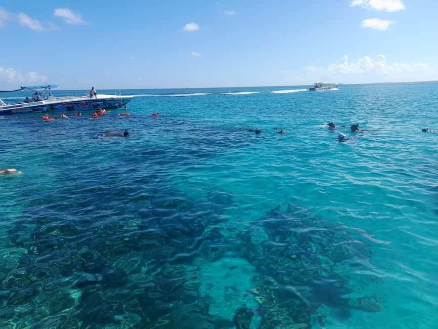 Nassau: Swimming Pigs Private Boat Tour - Up to 7 Persons - Key Things To Know Before You Go