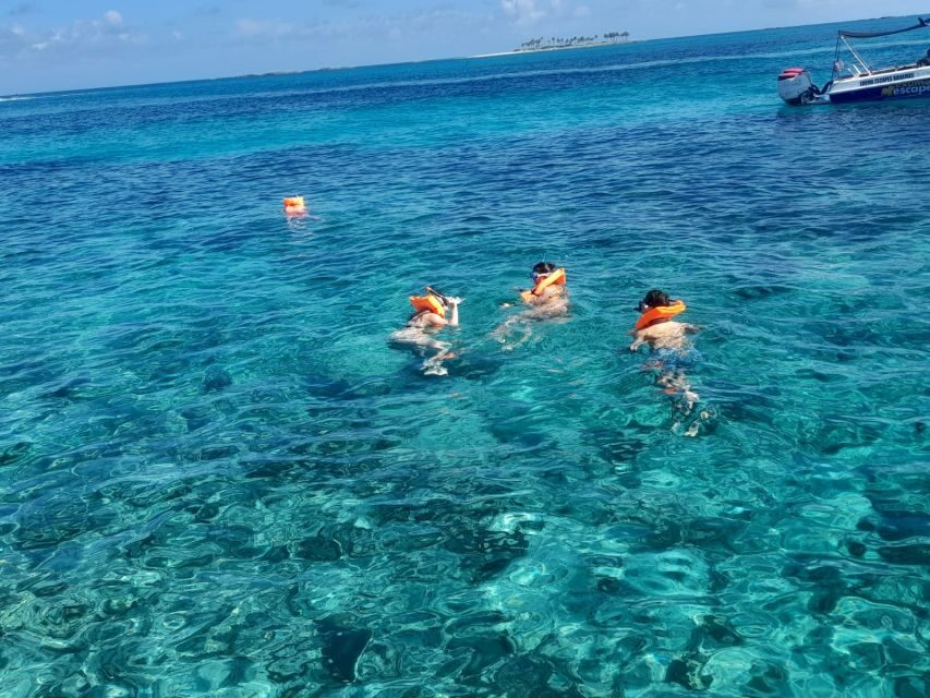 Nassau: Swimming Pigs Private Boat Tour - Up to 7 Persons - Who This Tour Suits Best (And Who Might Want A Different Option)