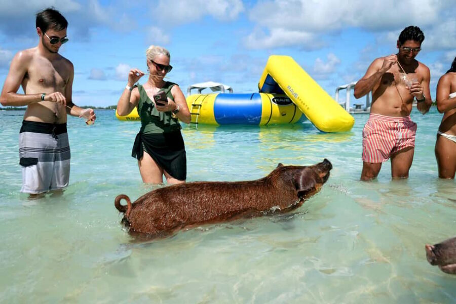 Nassau: Swimming Pigs, Snorkeling, Lunch, & Beach Boat Tour - Meeting Bahamas Jet Boat: where the day actually starts