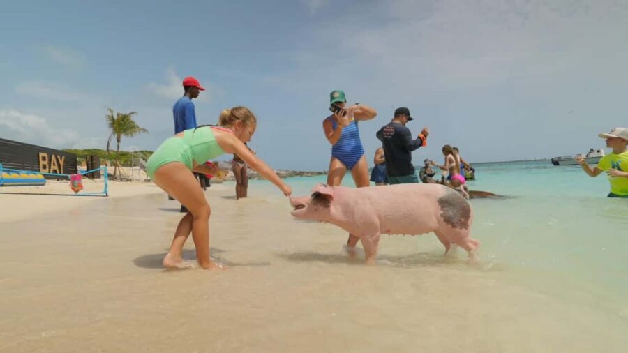 Nassau: Swimming Pigs, Snorkeling, Lunch, & Beach Boat Tour - The free photo and video package: why it’s more than a perk