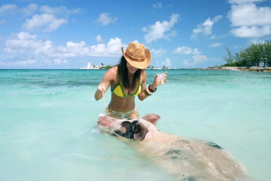 Nassau: Swimming Pigs, Snorkeling, Lunch, & Beach Boat Tour - The Nassau-to-Atlantis cruise loop: quick views, big-name scenery