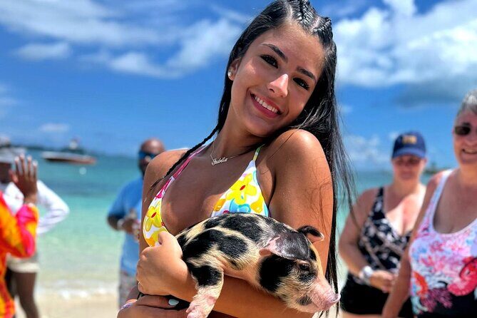 Nassau Swimming Pigs: Snorkeling, Lunch & Private Beach Club - Quick hits you’ll care about